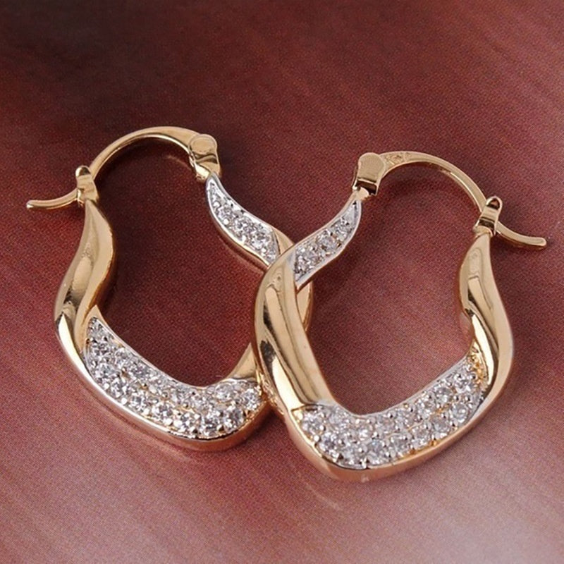 Elegant Zirconia Embellished Earrings