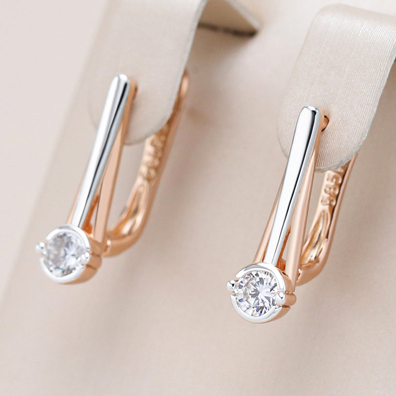 Elegant Earrings in Silver and Gold